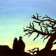 Paesaggio Romantico Controluce: I Segreti delle Atmosfere Sublimi (Guida Completa in 5 Fasi)